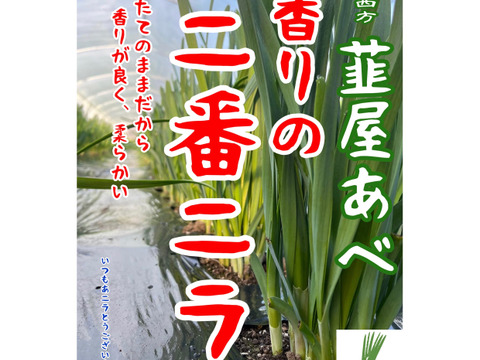 韮屋のニラ&茎ニラ
（ニラ10束1kgと茎ニラ500g）
揃い次第の発送となります。【日付指定不可】