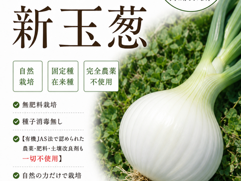 淡路島新玉葱自然栽培5キロ【固定種 在来種　完全農薬不使用　無肥料栽培　種子消毒無し【有機JAS法で認められた農薬・肥料・土壌改良剤も一切不使用】自然の力だけで栽培　数量限定予約販売開始ご予約順次発送