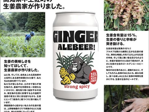 （予約）圧倒的スパイシー！生姜15％！GINGER ALE BEER350ml