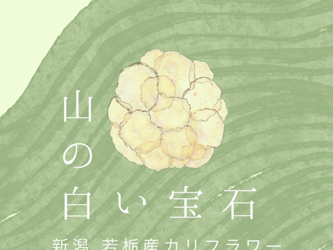 山の農村の白い宝石「若栃産カリフラワー（雪まつり）」（4個入り）