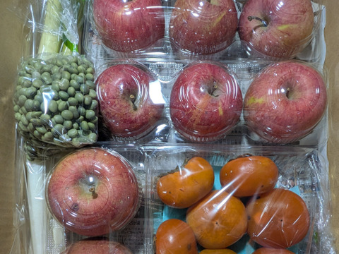 青大豆、ネギ、柿、リンゴ