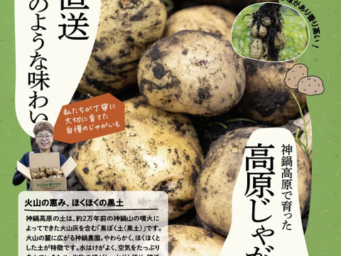 【ごろっごろ新ジャガイモ】　兵庫県但馬産新じゃが！　《きたあかり　箱入７kg》