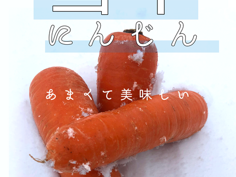 【北海道】甘～い！雪下にんじん　5kg