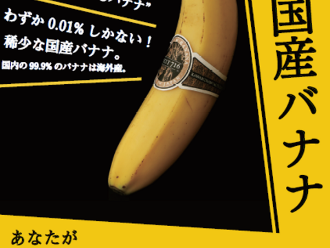 宮崎産・無農薬「流行りのミニバナナ」2Kg（16～20本）セット