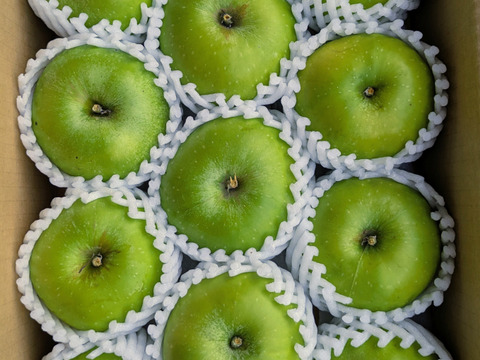 調理も簡単・クッキングアップル！！ブラムリー約3ｋｇ