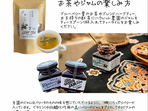 ブルーベリー葉のお茶・10g【ネイティブアメリカンの伝統茶】※まとめ買い専用