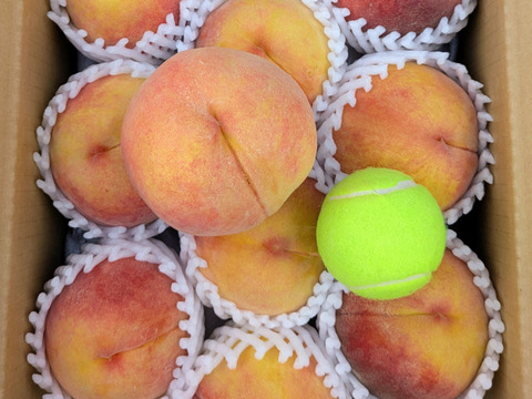 果肉の色が黄色の桃！！黄金桃　約3ｋｇ