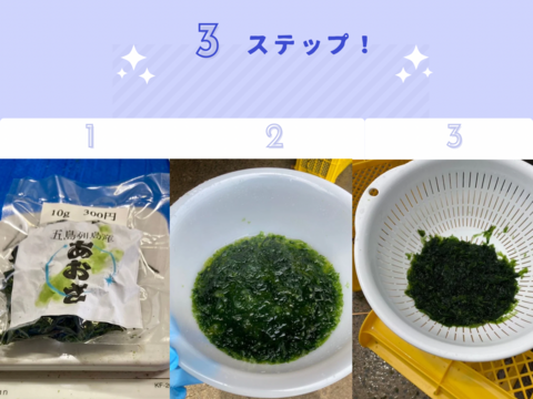 五島列島産 乾燥あおさ チャック付き!! 40g×1袋