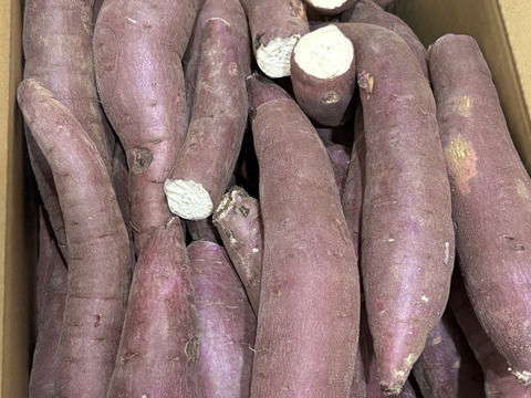 【セール中】訳あり！熟成紅はるか　10kg  さつまいも