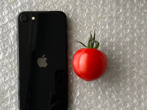 【岐阜県産】得トク！ミディトマト🍅3㎏