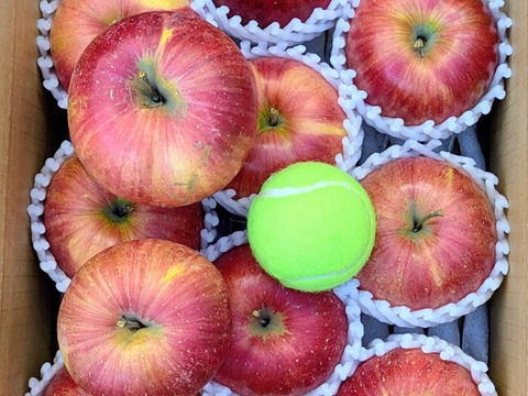 平均糖度17度！！大玉シナノスィート　約3kg