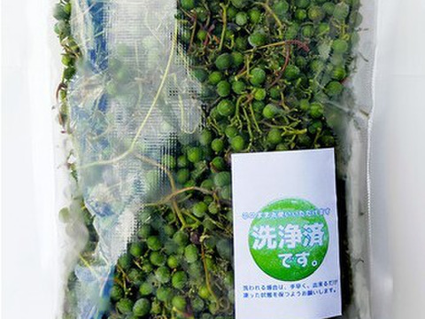 【今だけ★有機JAS認証取得済★生果実 900g】うまぶどう果実・野ブドウ果実★フルーツビネガー、リキュールに薬草の果実をアクセント！