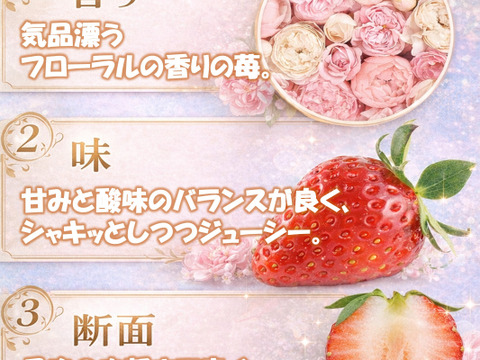 希少いちご【桃薫・東京おひさまベリー食べ比べセット】（桃薫約300g＋東京おひさまベリー約350g／１セットあたり） 贈答 高級 イチゴ 苺 果物 プレゼント 誕生日、バレンタインデー、節分、受験、