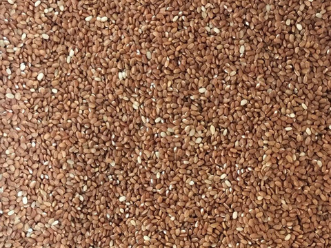 新米 「ベニロマン」(赤米玄米500g) 農薬・除草剤不使用の特別栽培米（福岡エコ農産物認証）リンゴガイ農法で美味