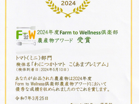 『みんなで分けられる』フルーツミニトマト（３kg）シェアに最適！