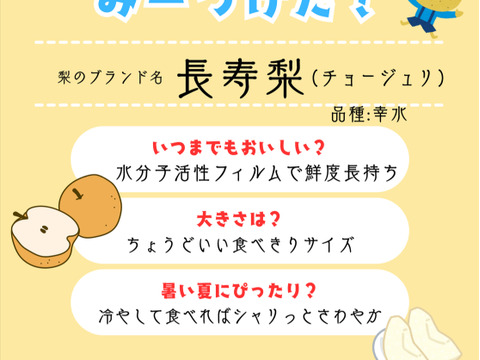 【すぐ発送可】糖度センサー測定！長生き幸水梨『長寿梨（チョウジュリー）』贈答用6玉