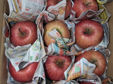 ふじ品です 化学肥料不使用！推奨農薬量50％カット！：青森県産のふじ｜食べ