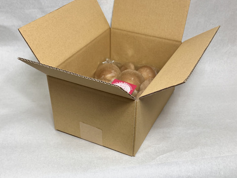 肉厚！プニプニの歯ごたえバーベキューにどうぞ！生しいたけ(500g)