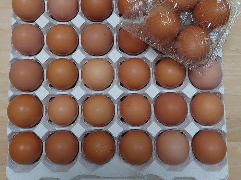 放し飼いのびのび自然卵、岡崎おうはんの卵[30個]割れ保証付き