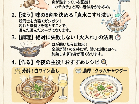 大きいホンビノス貝100g~150g【20玉】