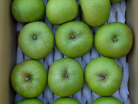 お得なミニサイズ！ブラムリー小玉3kg