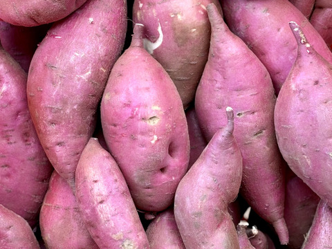 訳ありでもホクホクむっちり！「栗かぐや」色々なサイズ入り 3キロ箱