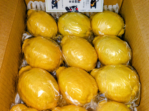 大きなレモン🍋りのか🍋3キロ