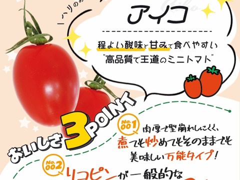福島県大熊町産 ミニトマト食べ比べセット〈4品種・サンゴ砂礫農法〉800g〜3kg