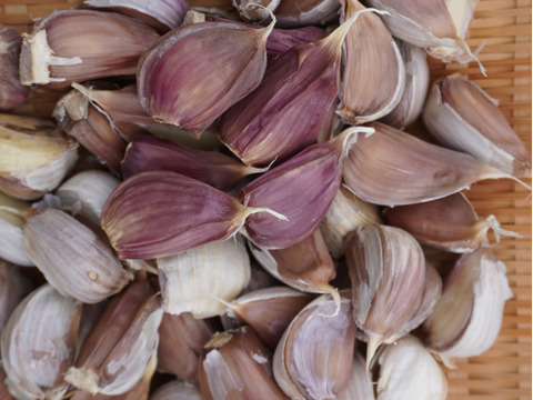 【小さめ ピンク バラにんにく】400g  北海道産 北海道在来種 農薬不使用自家栽培にんにく