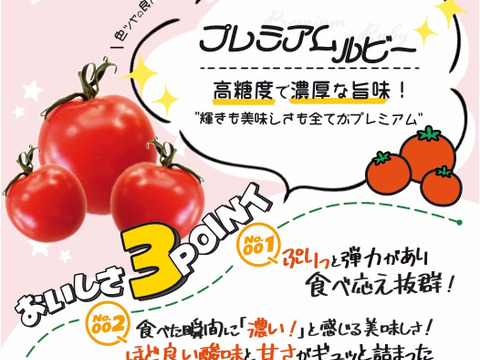 福島県大熊町産 ミニトマト食べ比べセット〈4品種・サンゴ砂礫農法〉800g〜3kg