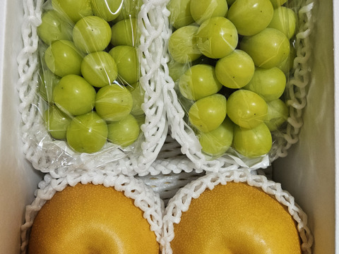 完熟シャインマスカット&和梨セット(中)