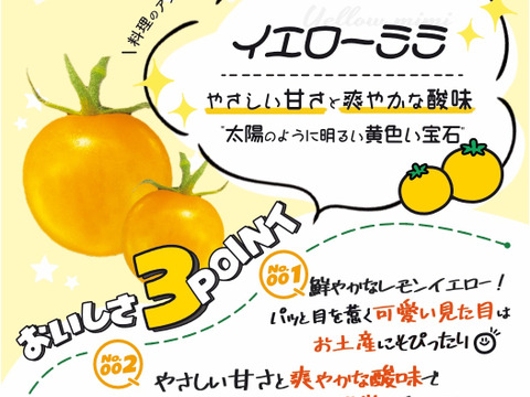 福島県大熊町産 ミニトマト食べ比べセット〈4品種・サンゴ砂礫農法〉800g〜3kg