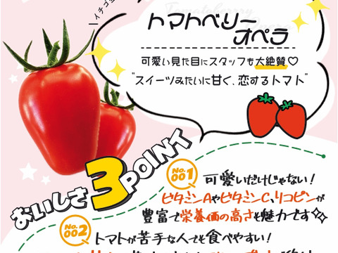 福島県大熊町産 ミニトマト食べ比べセット〈4品種・サンゴ砂礫農法〉800g〜3kg