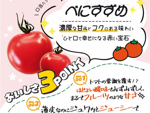 福島県大熊町産 ミニトマト食べ比べセット〈4品種・サンゴ砂礫農法〉800g〜3kg
