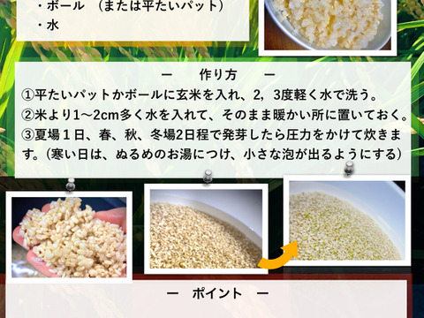 福岡の米　2024年（令和6年）産　10kg 玄米 準自然米 大好評の福岡県産「元気つくし」令和6年産 玄米10kg