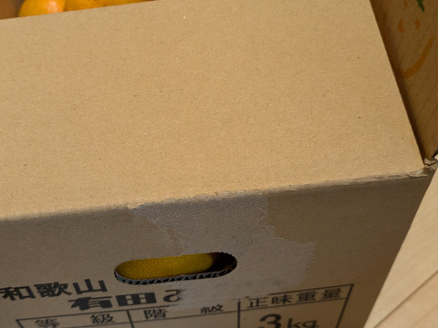 予約品11/20より【10kg】宮川早生みかんS～Lサイズ混合