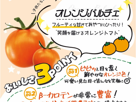 福島県大熊町産 ミニトマト食べ比べセット〈4品種・サンゴ砂礫農法〉800g〜3kg