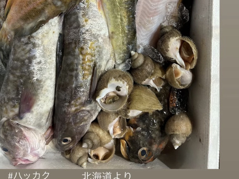 知床らうす直送】梅コース3kg詰 (未利用魚ボックス 低利用魚も入ります