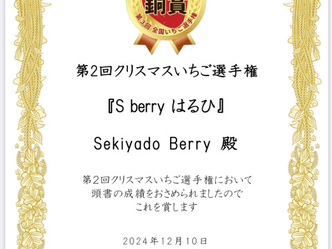 【Premium Strawberry Selection】
特選よつぼしと全国コンテスト受賞はるひ　290g×2p