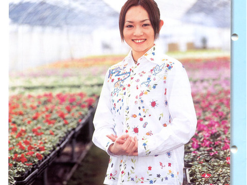 大臣賞受賞農家ふじ　5キロ　20～23玉　秋田県から食べきりサイズ家庭用ふじ