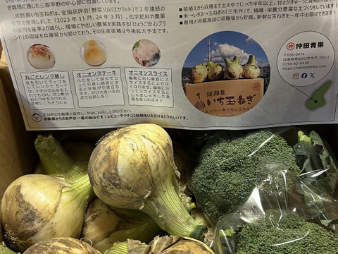ブロッコリー2株×淡路島新玉ねぎ10個セット【野菜ソムリエサミット金賞🏆】