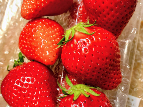 ＜入学祝いや節句、母の日など各種贈り物にもおすすめ♪＞味が濃厚でひときわ甘い【やよいひめ】群馬県産完熟いちご「やよいひめ」270g×4パックセット🍓群馬県いちご品評会W受賞！