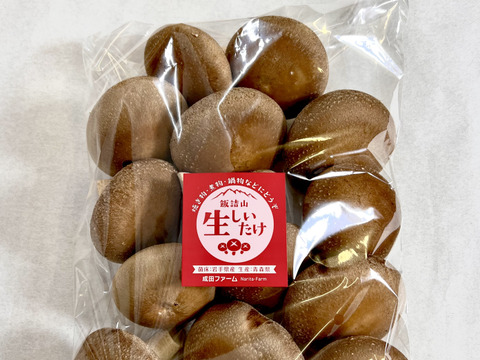 肉厚！プニプニの歯ごたえバーベキューにどうぞ！生しいたけ(500g)