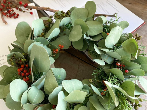 ✴︎スワッグにいかが？ユーカリ２種のボリュームセット✴︎