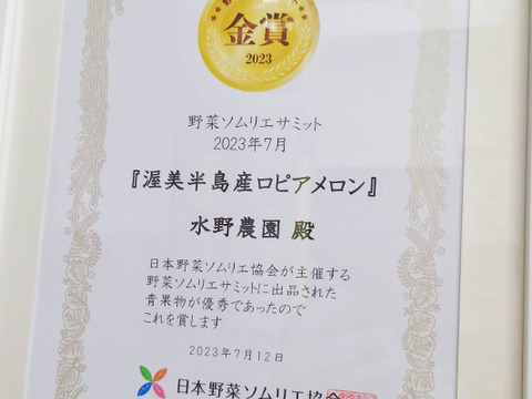 【金賞受賞】シルキーメロン『ロピア』1.6kg×２玉