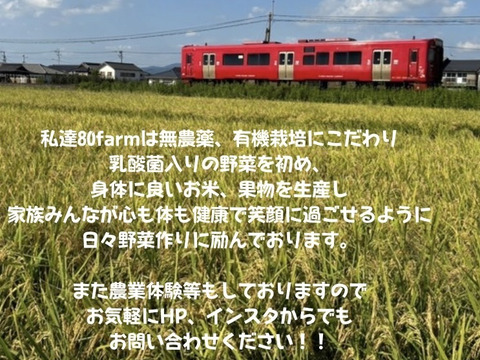 新米福岡産ヒノヒカリ５㎏袋×2