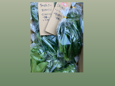 ❄️☃️冬の野菜セット☃️❄️