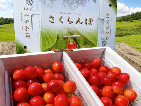 🍒スーパーBIGセール🍒【朝どれ】《紅秀峰》さくらんぼ 山形県東根産