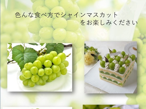 信州産 シャインマスカット 糖度指定可