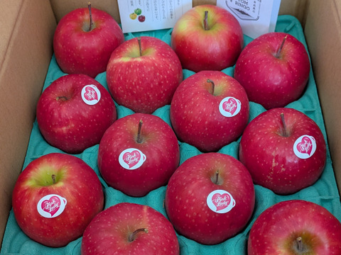 バレンタインにもオススメ♪今が美味しい！『ピンクレディりんご 』お試し2.5kg〜3kg